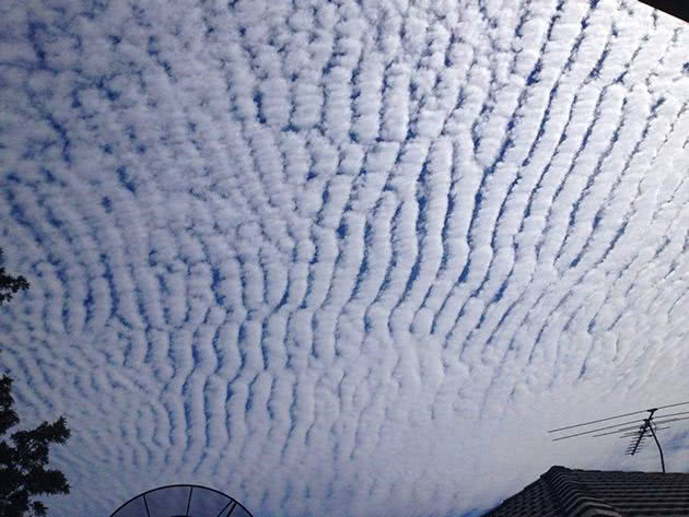 动物异常行为,地震云预测地震真的靠谱吗?