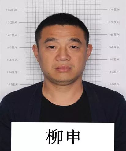 柳申(男, 42岁,小名:淮河,长官镇人)