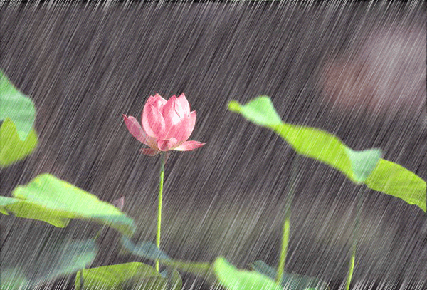 光神巴德尔7月祛湿正当时用这个祛湿小方子半个月湿毒全无