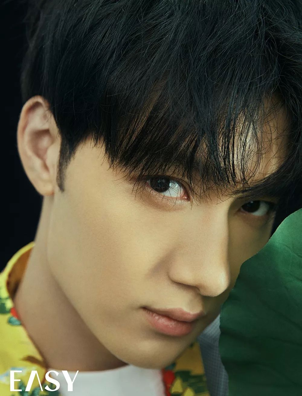 演员陈子由登上easy电子迎刃而上