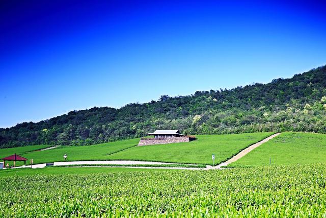 龙隐江南醉美风景