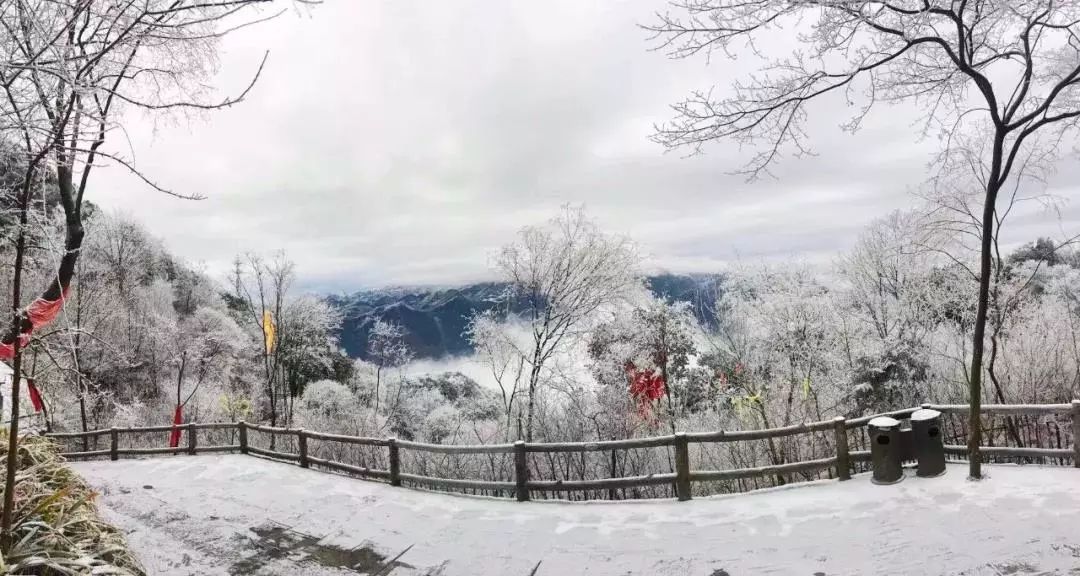 雪!雪!九皇山下雪了,快来围观