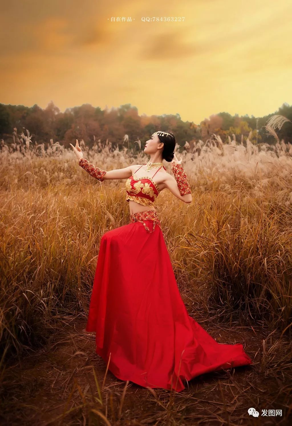 舞蹈女孩 芦苇从中跳孔雀舞