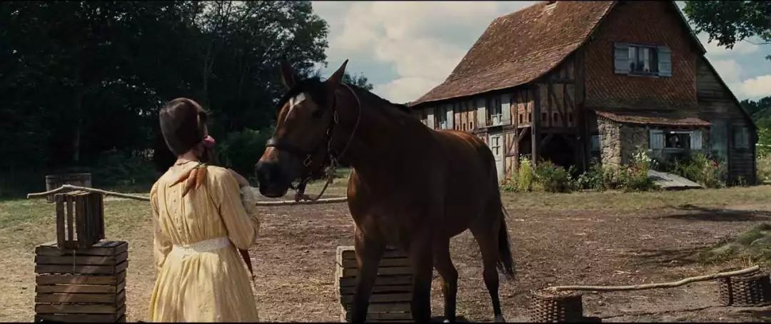 穿越重重炮火只为找到你,一匹烈马的战火浮生