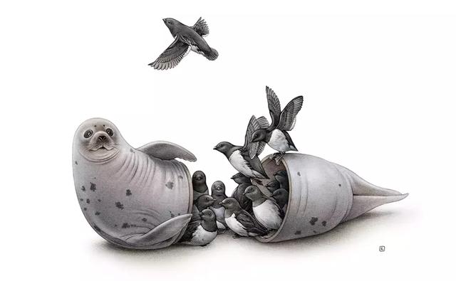 埋在乱石堆里发酵半年,你就得到了当地人眼中的"绝世珍馐"——kiviak.