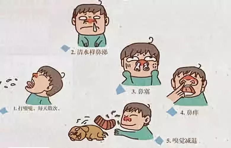 传染性鼻炎 凤凰网