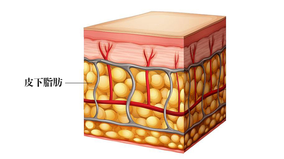 脂肪填充不均匀导致凹凸不平怎么办__凤凰网