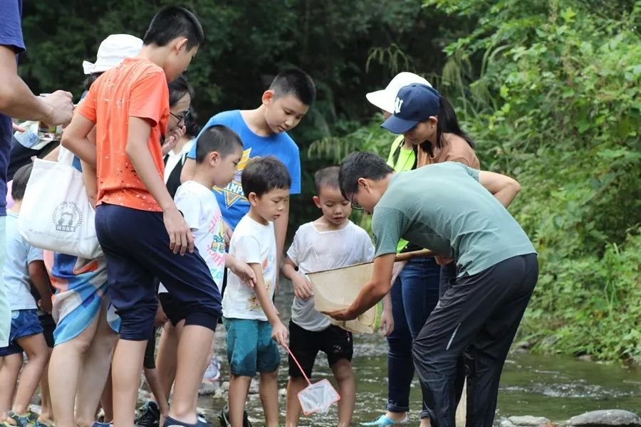 在车八岭国家级自然保护区,探索生活在溪流里的小生命,主要有蜉蛲和