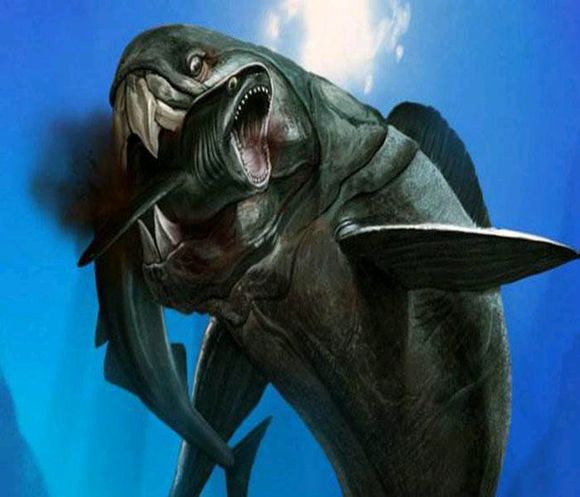 十大恐怖鱼 远古图片