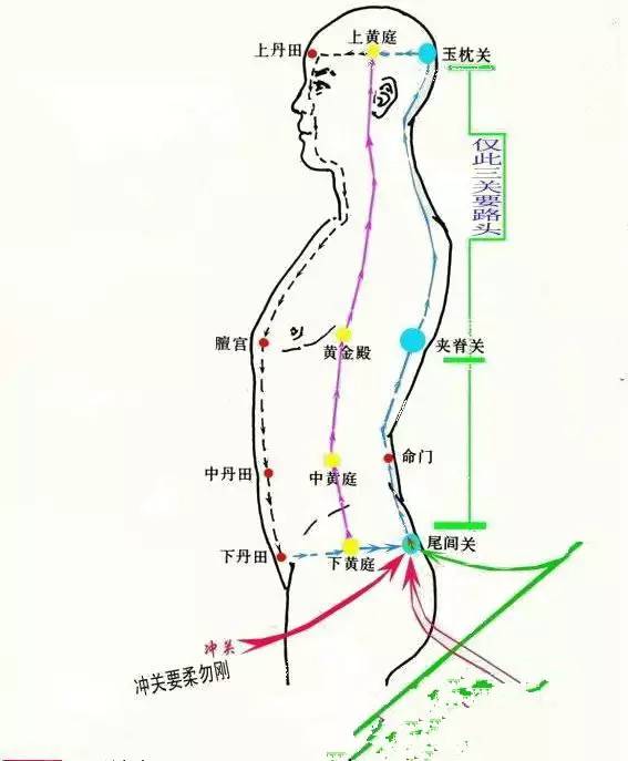 人体《精、气、神》的开关 特效穴，开九窍，打开关__凤凰网