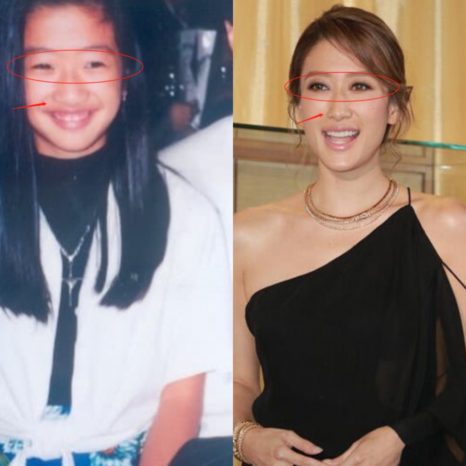 谢霆锋罕见童年全家福曝光,妹妹谢婷婷真是"整容式"生长