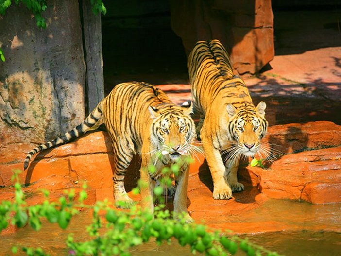 休闲游乐,畅享奇趣世界 尖叫乐园,玩的就是心跳