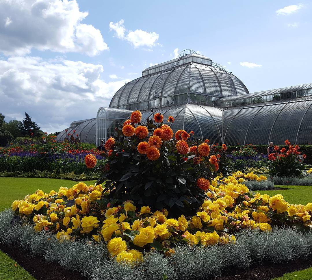 创意农业玻璃温室公园大棚现代农业价值不可估量