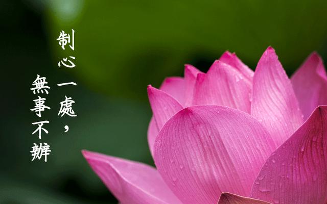 包容和宽恕的人就像水一样，既不计较，也不争论。以善巧智慧，不伤害众生！__凤凰网