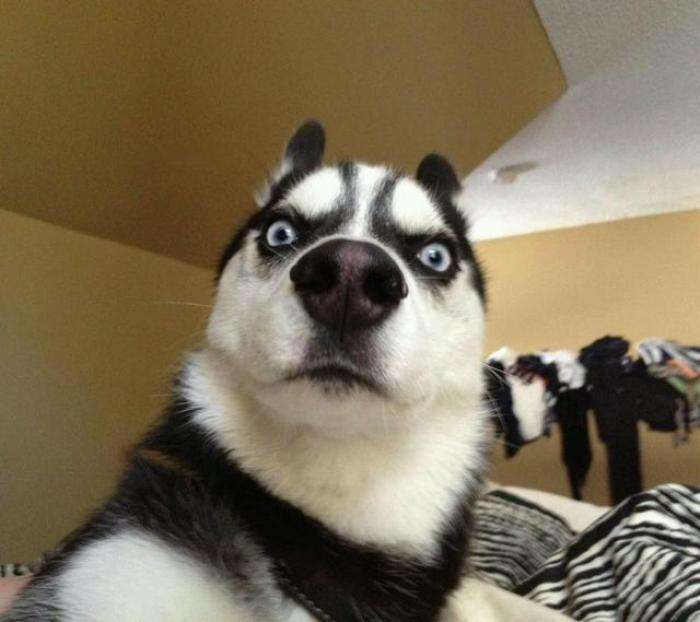 假如用十年寿命换一种超能力,下面这六种超能力,你会怎么选择?