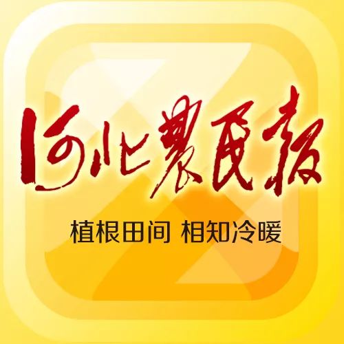 【乡村振兴】河北省县域特色产业振兴工作方案印发—做优做强做大