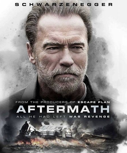 《空难余波》:一场比埃航更惨烈的空难 不顾一切只为一句道歉