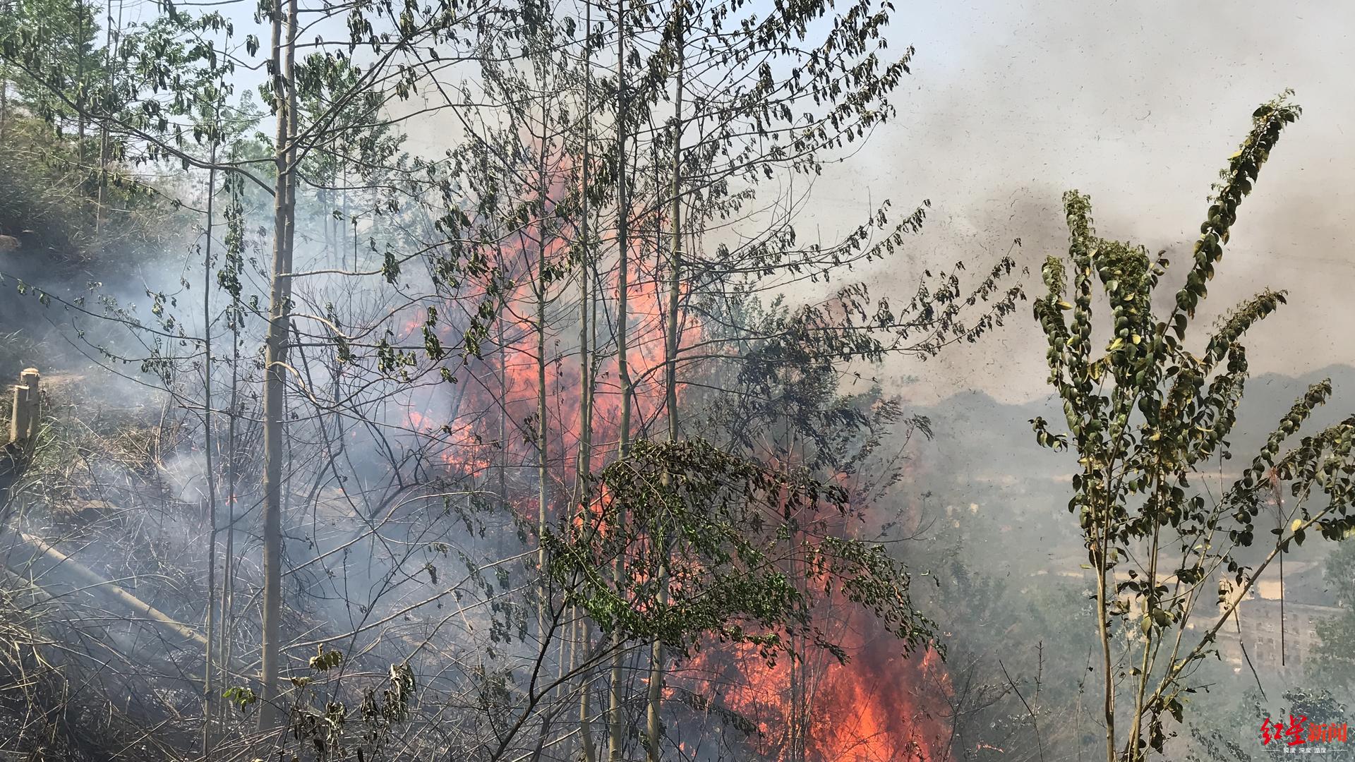 四川广安华蓥山发生两起森林火灾已被成功扑灭