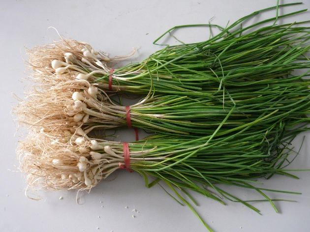 挖到野菜=捡到宝,逐个击破糖尿病并发症