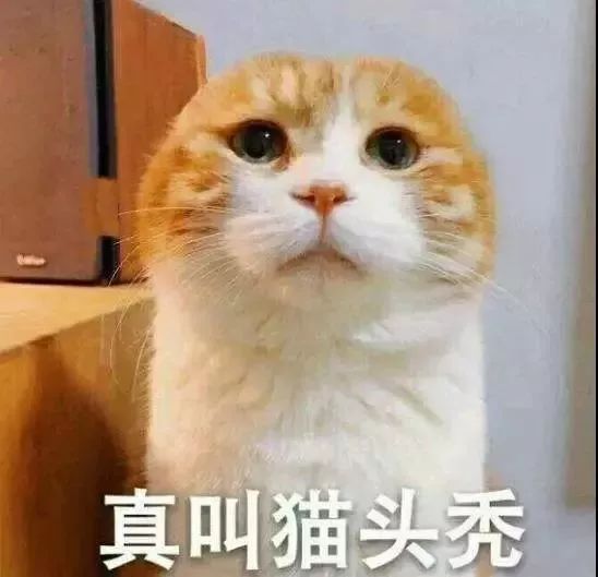 猫戴眼镜敷面膜图片