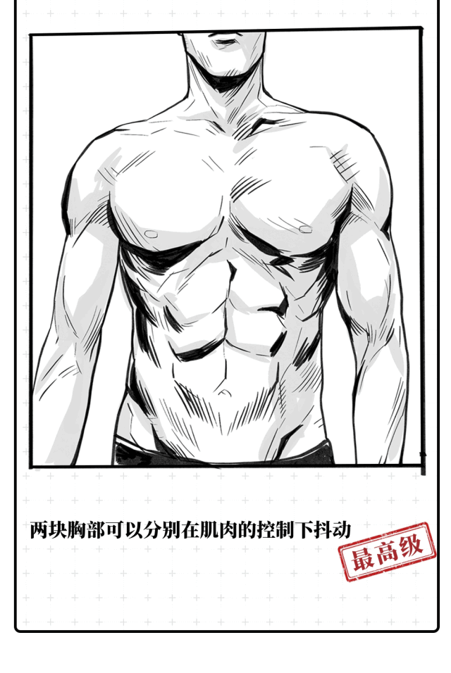 男人胸部观察报告