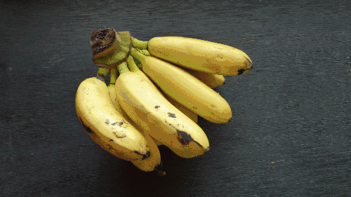香蕉中含有丰富的膳食纤维和糖分,具有很好的润肠通便作用.