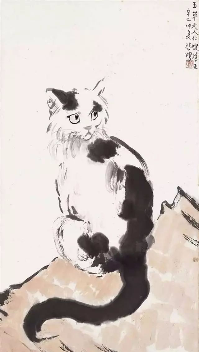 书画鉴赏丨五大名家画猫,太精彩啦!