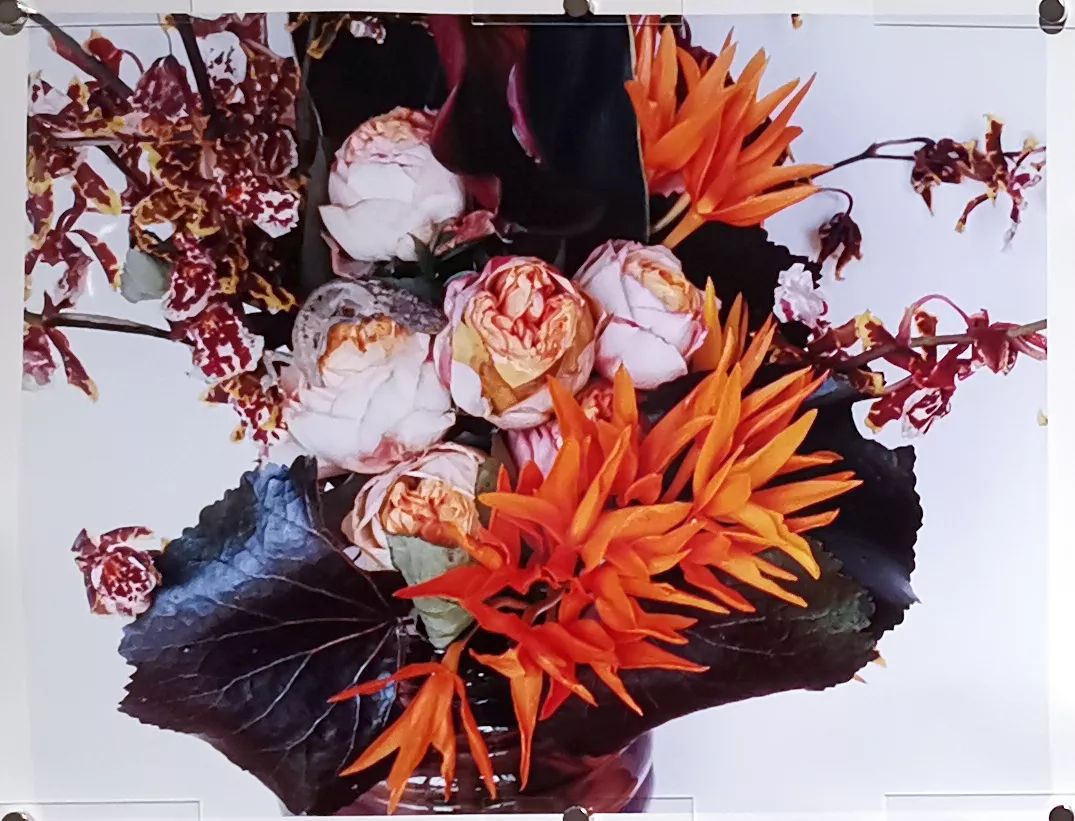 荒木经惟摄影展.花幽 | 南艺 #作品200p