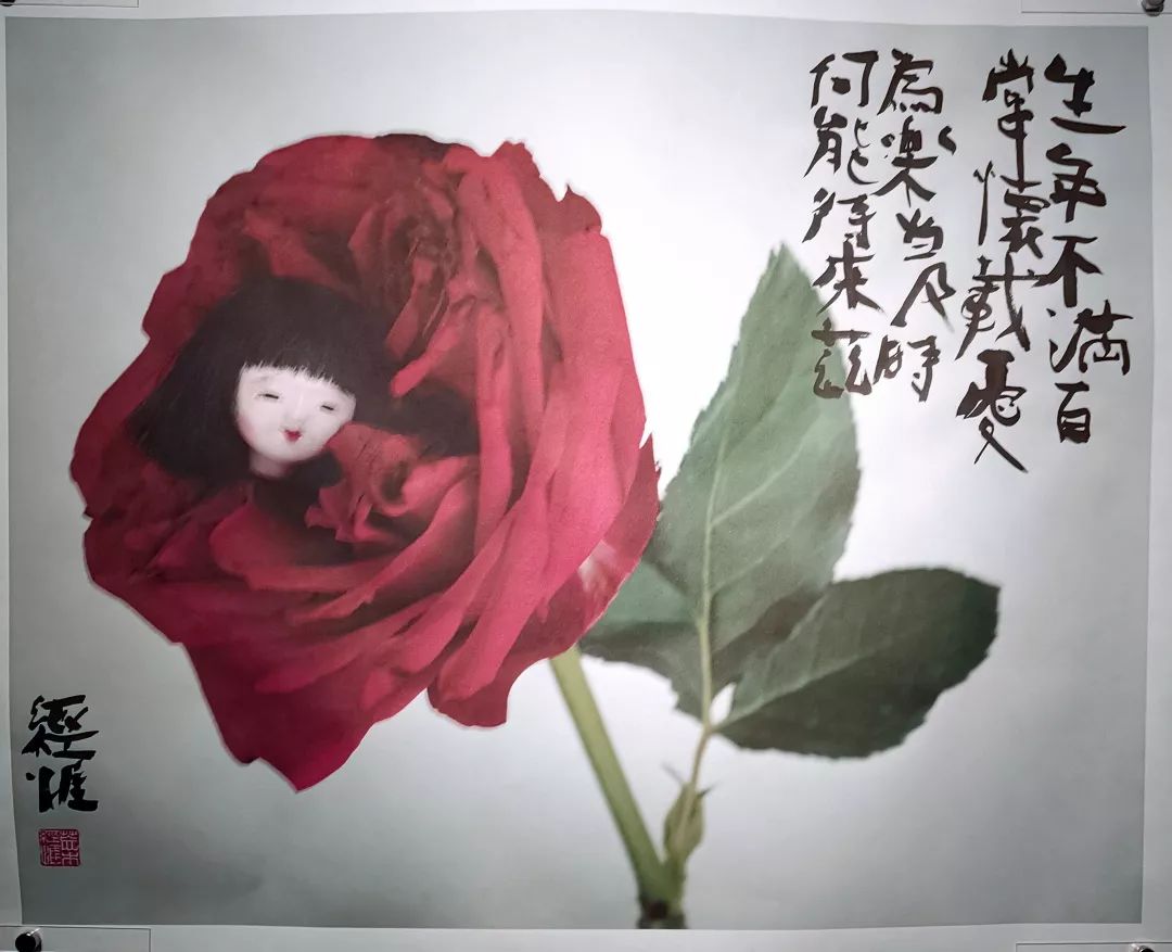 荒木经惟摄影展.花幽 | 南艺 #作品200p