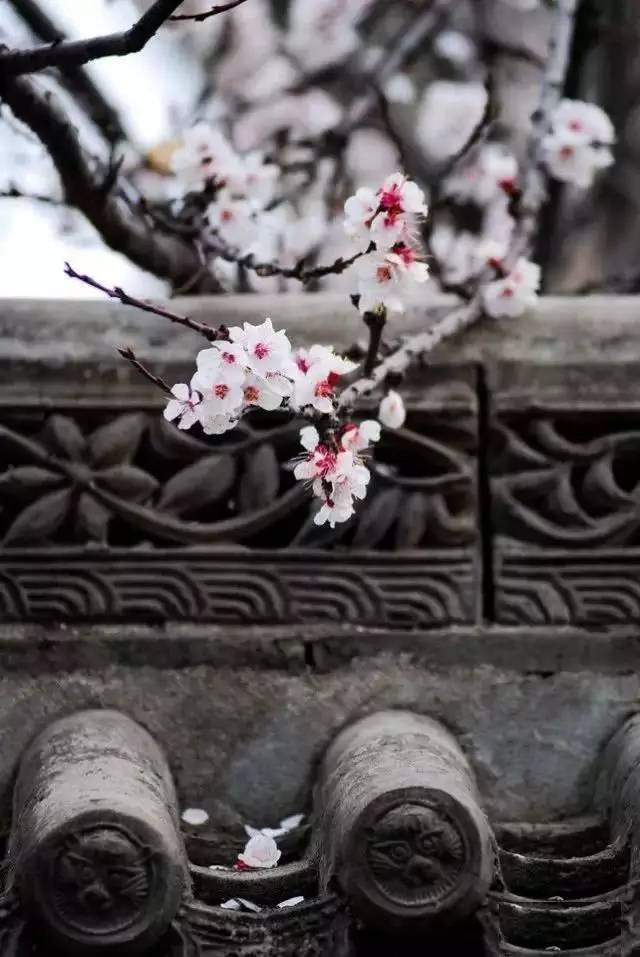 每日佛歌扫心地扫去你心灵的浮尘