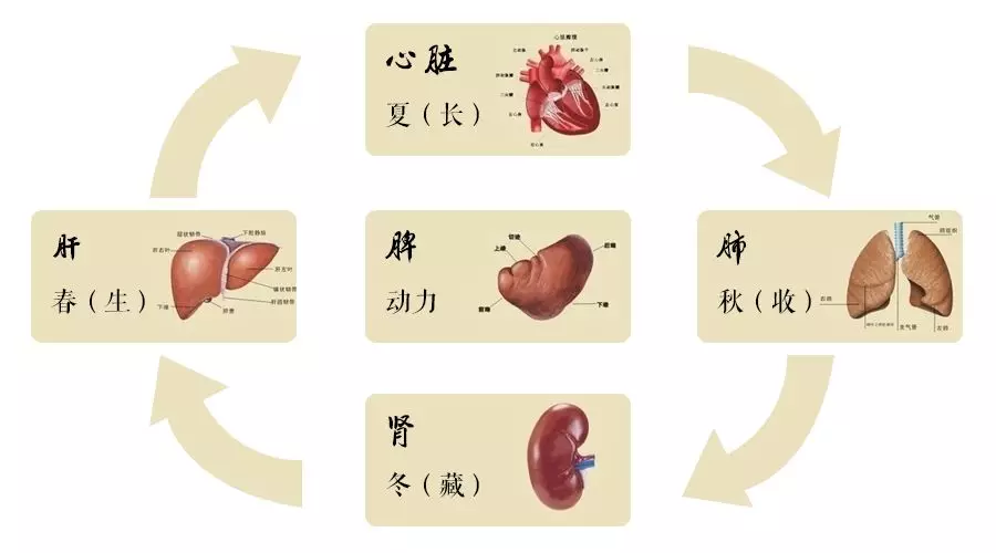 小满养脾秘诀:青稞让你"小满"