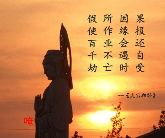 所以大家平时要多多念佛,但是有了急症你要找医生.