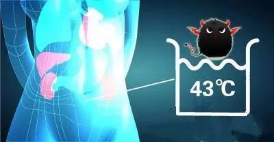 三,腹腔热灌注化疗为何可以抗肿瘤?