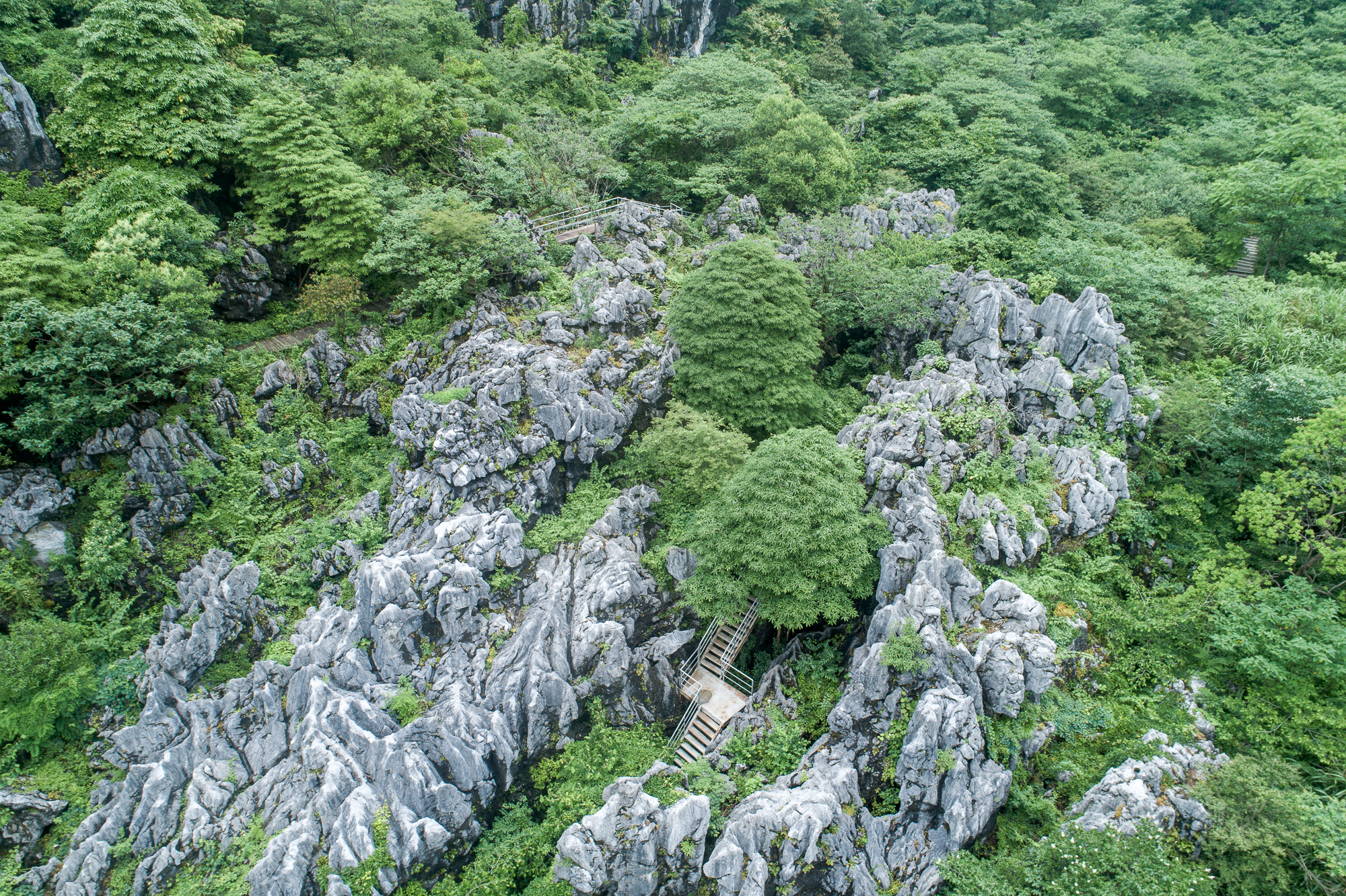 衢州三衢石林景区图片