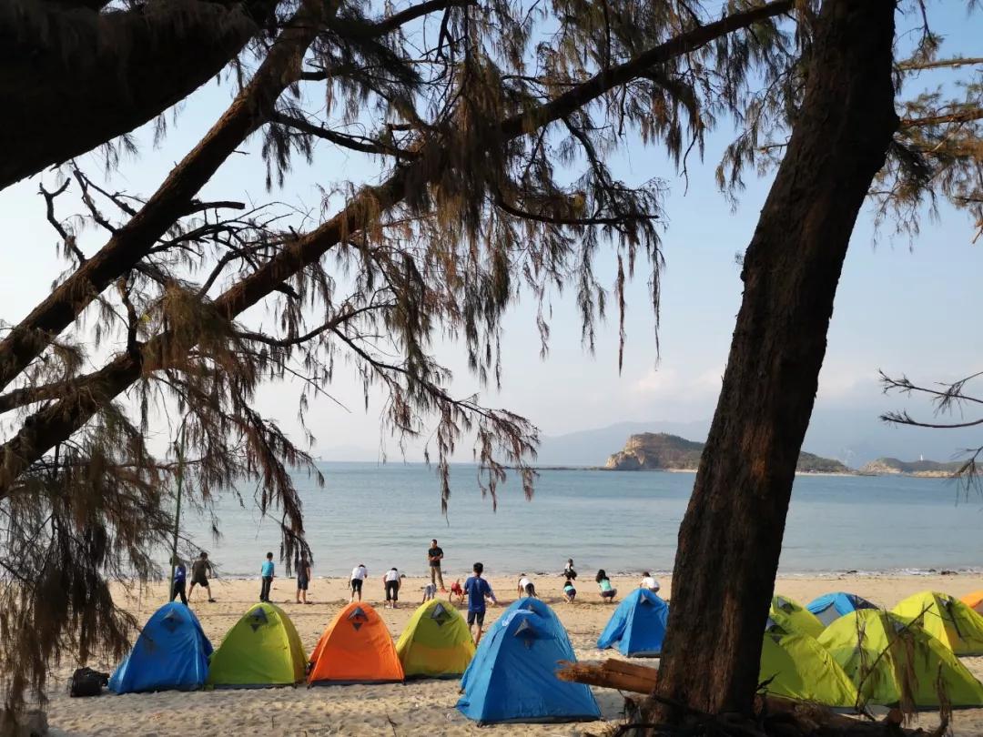 野外突发皮外伤简单处理方法;海边渔网捕鱼;海岛烹饪;海岛露营一晚