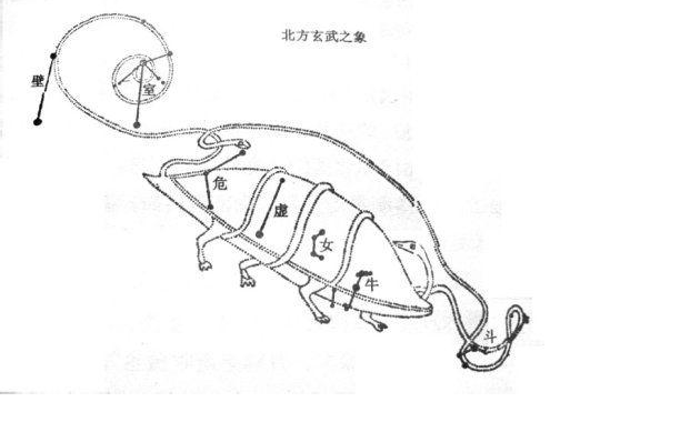 北方室火猪图片