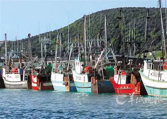 紐芬蘭漁場和北海漁場,秘魯漁場,北海道漁場並稱世界四大漁場,也是