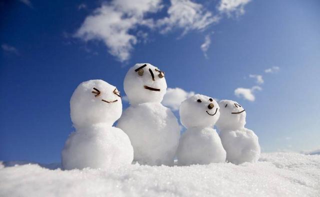 西藏地区物种之谜喜马拉雅雪人存在吗究竟是人或猿或熊