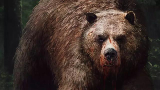 惊悚! 游客在加拿大遭500斤巨熊袭击,经历恐怖12小时