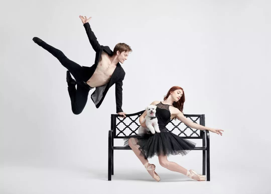 与狗狗共舞的芭蕾舞者