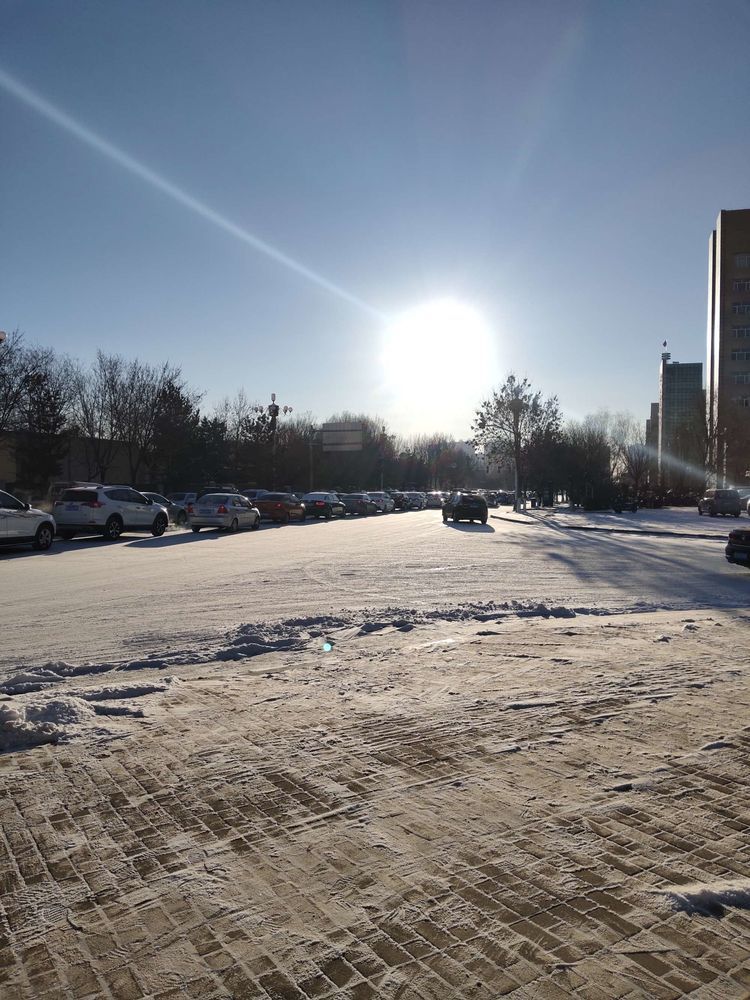 【城事】这么冷的天,这些人在忙什么?