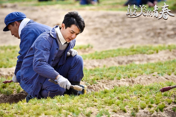 刘智扬最美的青春热播诠释热血造林人受好评
