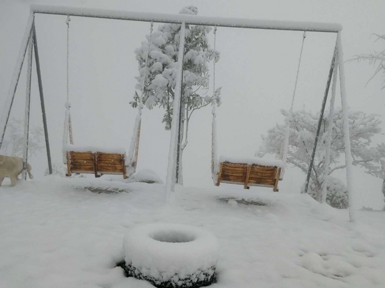 什邡钟鼎寺神瀑沟红枫岭飘雪了银装素裹美得不像话