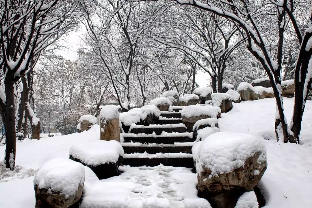 成都最極致的雪景,比雪鄉更驚豔,比雪鄉更純淨