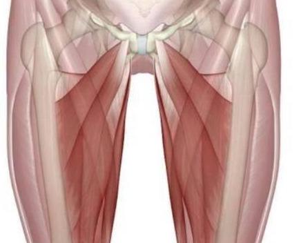 大腿痛是什么原因? 老年人腿痛有哪些方面的因素?