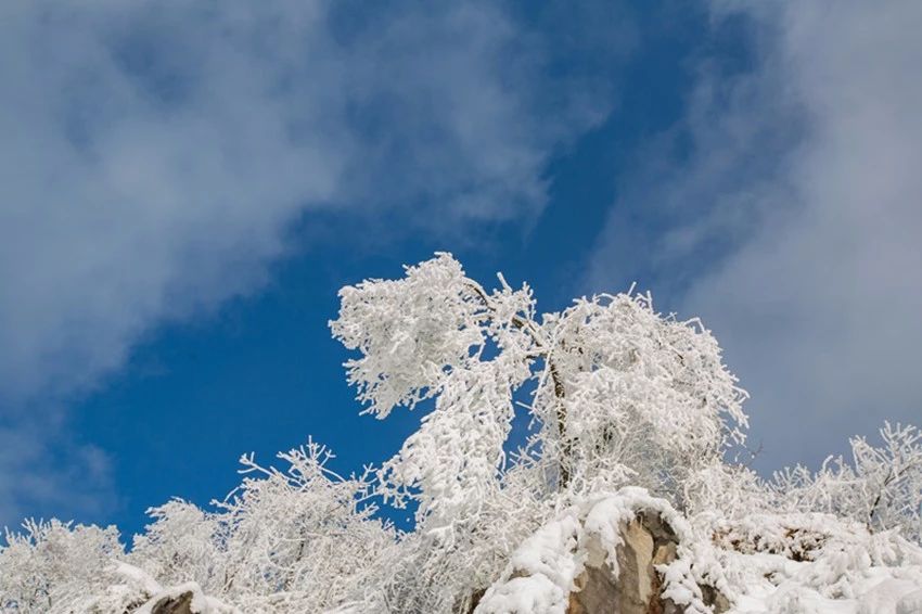 冬季到九皇山,雪景照这样拍,让你美十倍!