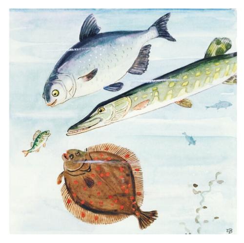 儿童绘本推荐—《好奇的小鱼》