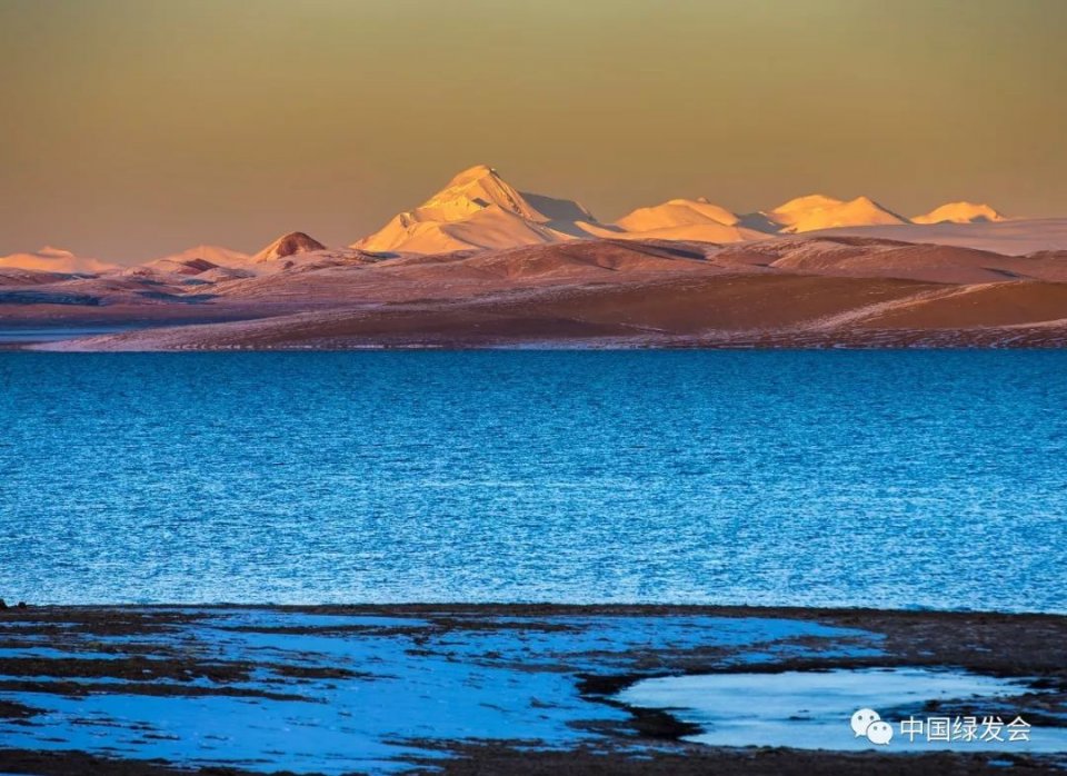 可可西里卓乃湖首次发现鱼中科院动物所专家初步鉴定为高原鳅关注