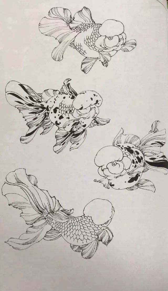 白描鱼海草图片