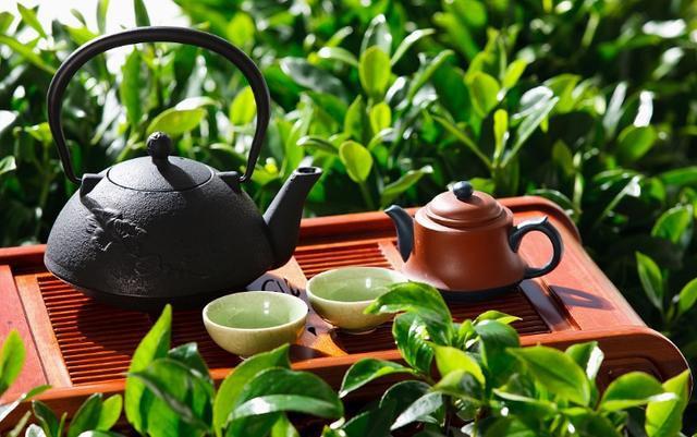 饮茶健康舒心,但这些群体大量饮茶无异于服毒_凤凰网健康_凤凰网